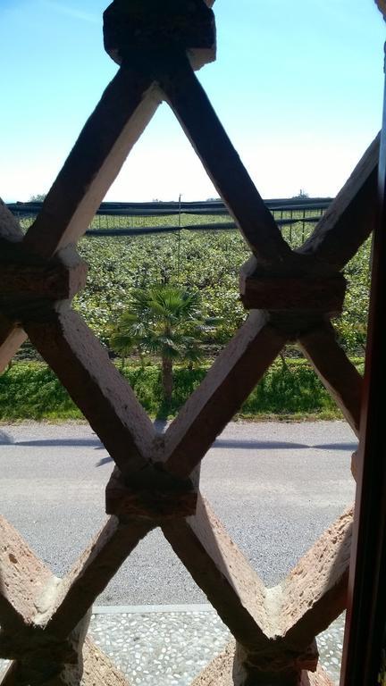 Agriturismo Sant'Egidio อากวีเลยา ภายนอก รูปภาพ